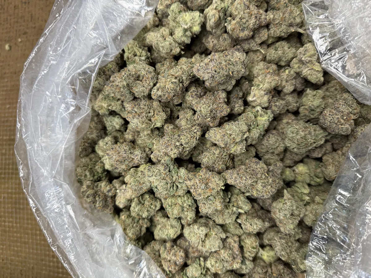 Candy Gas Flower